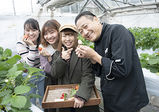 グラン パティシエコースがファーム実習へ！小田原市・中嶋農園で、9月に植えたイチゴをついに収穫♪