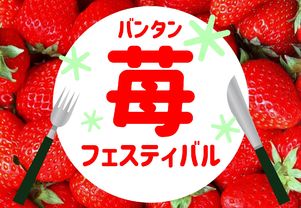 【苺フェスティバル】★毎年大人気のイベント★食の進路やお仕事が気になる？まずは体験してみよう！