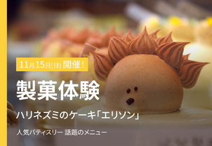 【11/15(日)特別体験イベント】ハリネズミのケーキ「エリソン」製菓体験